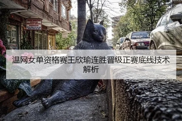 wen-wang-nv-dan-zi-ge-sai-wang-xin-yu-lian-sheng-jin-ji-zheng-sai-di-xian-ji-shu-jie-xi-3-328.jpg