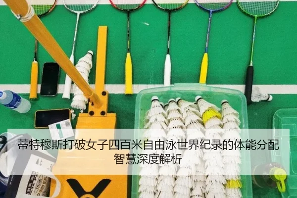 di-te-mu-si-da-po-nv-zi-si-bai-mi-zi-you-yong-shi-jie-ji-lu-de-ti-neng-fen-pei-zhi-hui-shen-du-jie-xi-2-416.jpg